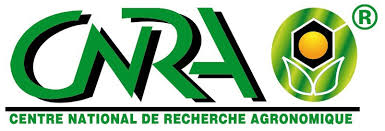 logo4